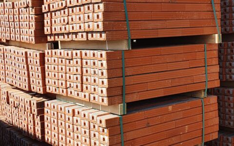 274314732_3218176455077648_5596618768294224719_n