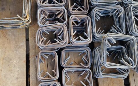 344731313_6299532540137534_7674579293497758293_n