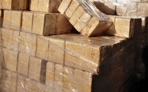 345905703_858081859215821_8352037927617843763_n